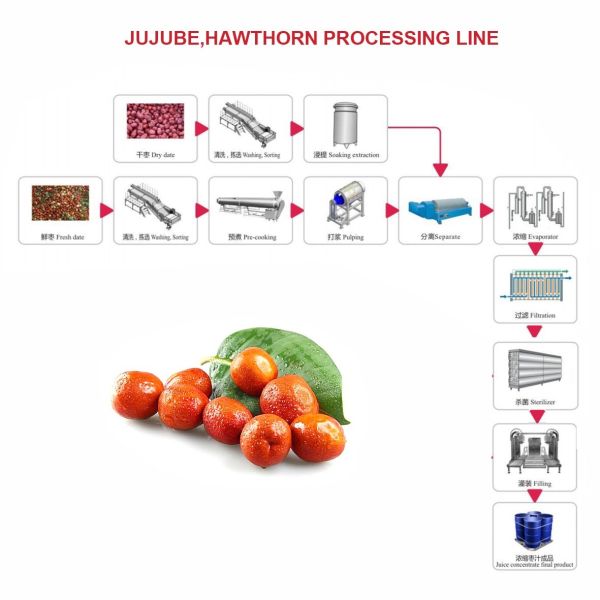 Автоматические извлечение и подпаливание технологической линии 50T/H Jujube
