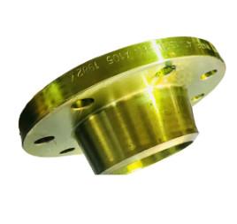 Q235 EN AMSI Forged Carbon Steel Flange Stainless Steel Flange