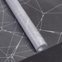 Modern Design Style Frosted Vinyl for Windows Waterproof Static Cling PVC Glass Film for Bathroom Privacy Classic Design
