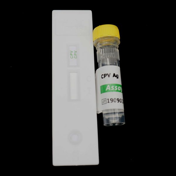 Canine Distemper Virus Veterinary Rapid Test Immunochromatography