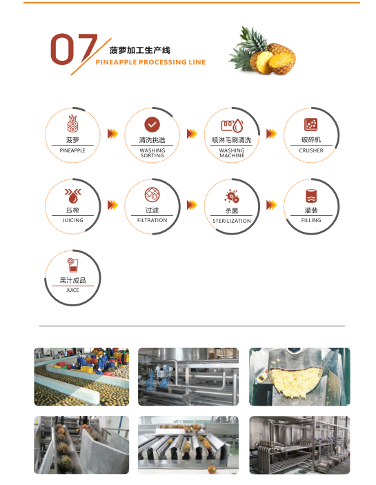 Automatic Pineapple Juice Processing Line 304 Stainless Steel Energy Saving