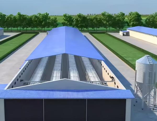 Custom Steel Poultry House with Automatic Feeding & Drinking Systems
