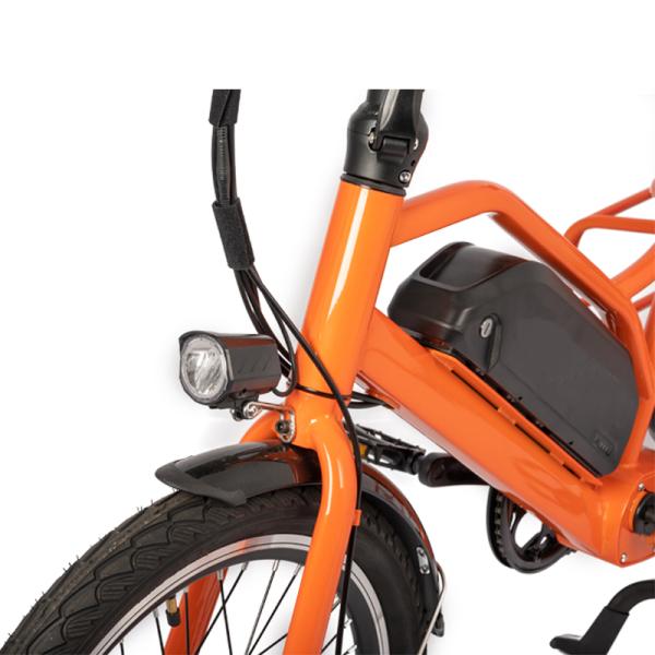 Family E-cargo Electric Bike with 20
