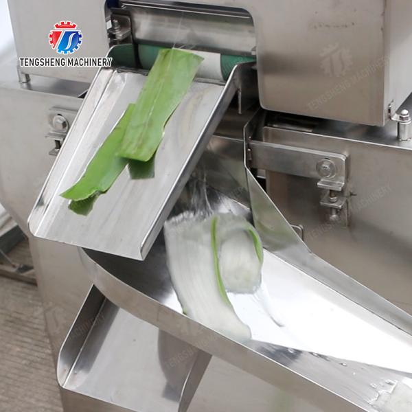 Aloe peeling machine processing production Peeling Machine