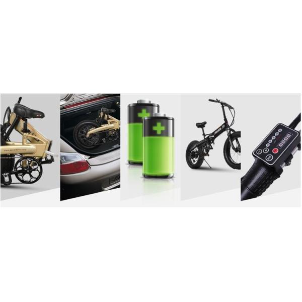 750w 20 Inch Fat Tire Electric Bike