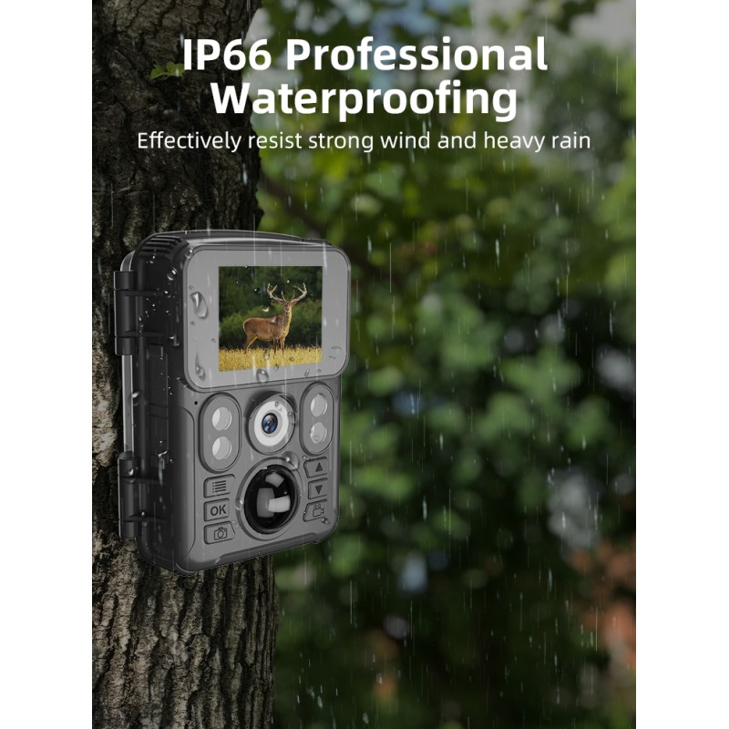 Factory Direct 720P HD Trail Hunting Camera Outdoor Wildlife Waterproof IR Night Vision Trail Camera Animal Trap Mini Camera