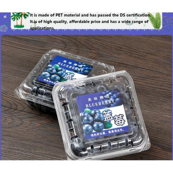 Blueberry box Disposable bowl designed for supermarket/fruit store packaging with transparent PET material