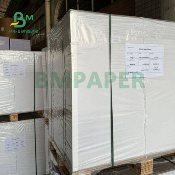 Papier biblique opaque de 39 grammes 45 grammes pour la prédication Léger 25 x 38 pouces