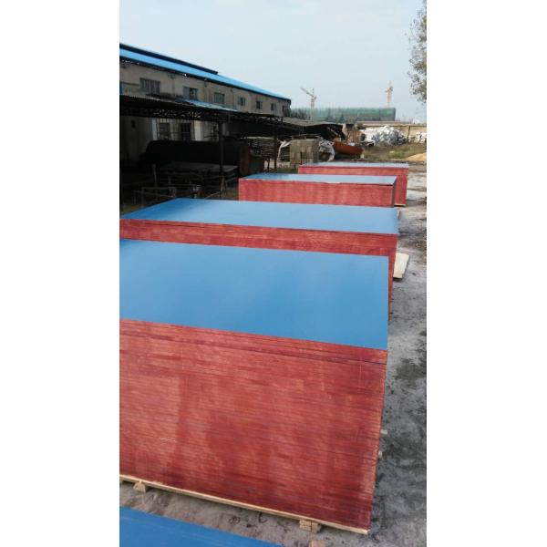 FIRST-CLASS Plastic Laminated Plywood with High Production Standards and Competitive