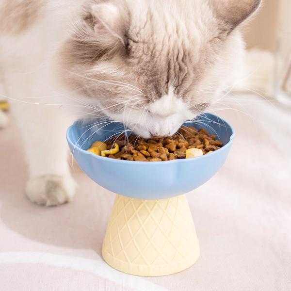 Designer Korean Pet Bowl | Modern Home Decor Pet Feeding | Aesthetic Living Space Integration | Premium Lifestyle Pet Accessory
