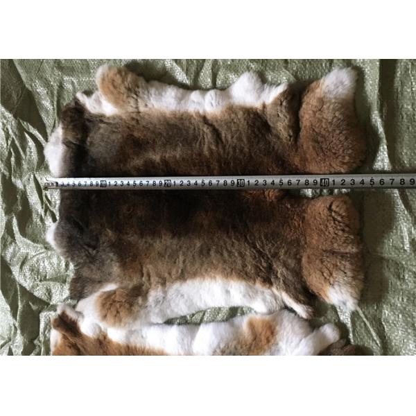 Piel caliente Winderproof del conejo de Rex del super suave para hacer la manta de la ropa/del conejo