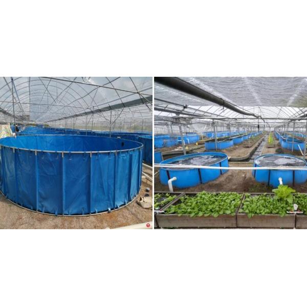 5000L складной 0,9 мм ПВХ брезентный рыбный бак для рыбной фермы рыбный пруд Пластиковый резервуар Diy рыбный пруд