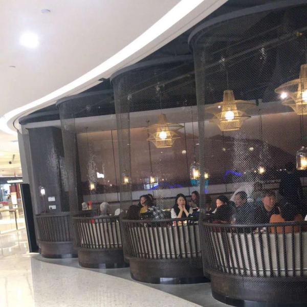 Beautiful Gold Ring Decorative Wire Mesh 1.0mm Diameter