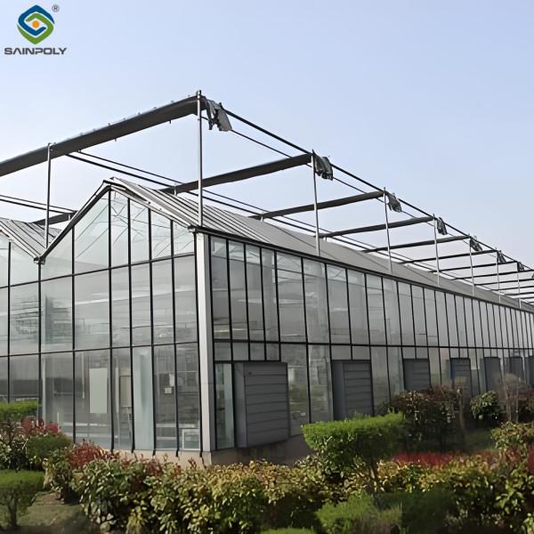 Modern Venlo Glass Greenhouse Plant Tomato Cucumbers High Wind Resistance
