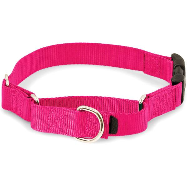 Martingale Soft Nylon Dog Collar With Quick Snap Buckle