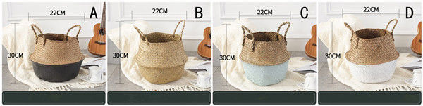 ISO Desert Snake Plant Artificial Bonsai Tree Tiger Piran Aloe Sansevieria Seeds