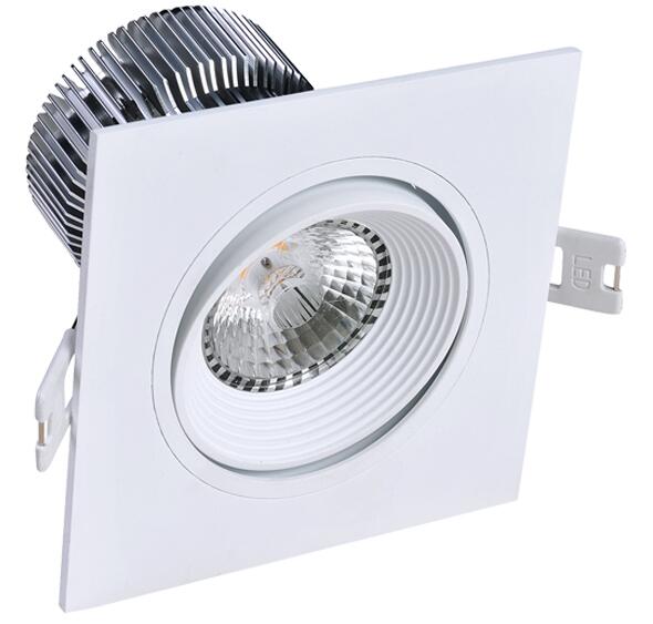 2700k 3000k LED DownLight