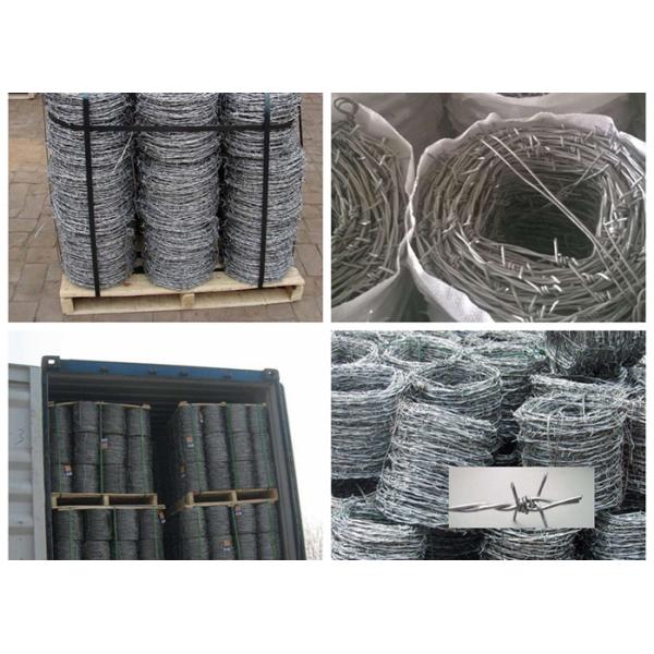 Green Security Barbed Wire Roll Coil Protection For Grass Boundary