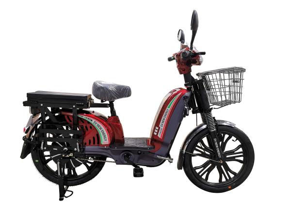 50km High Carbon Steel Adult Electric Bike High Performance E-Bike For Outdoor Activities