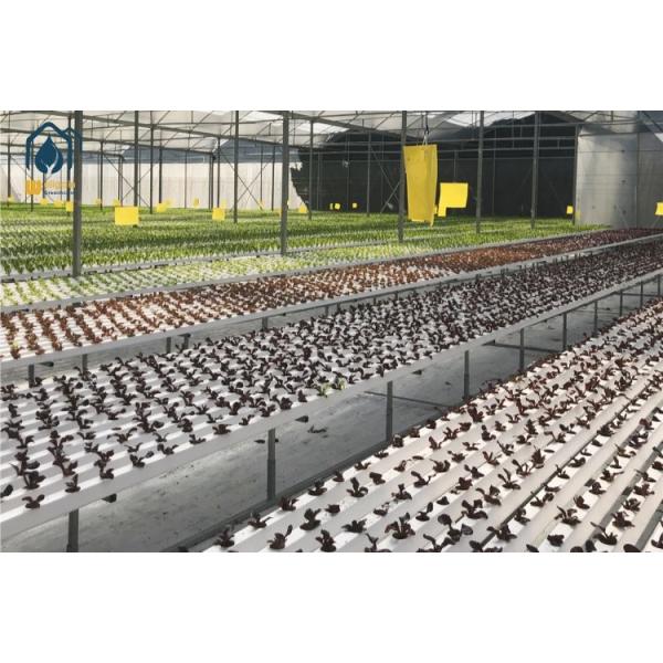 Home / Commercial Hydroponic Growing System Plastic NFT Channels For Hydroponics