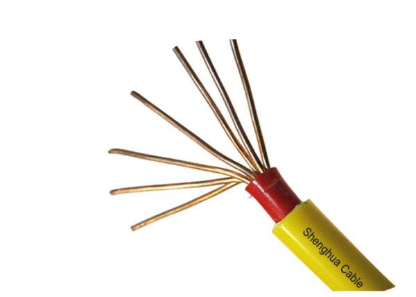 U-1000V CU / PVC / FR - PVC Insulated Power Cable Flame and Fire Resistant