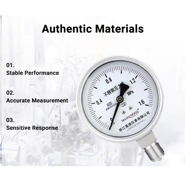 Customized Stainless Steel Pressure Gauge for OEM Mpa Scale LPG 100mm Pressure Test Gauge