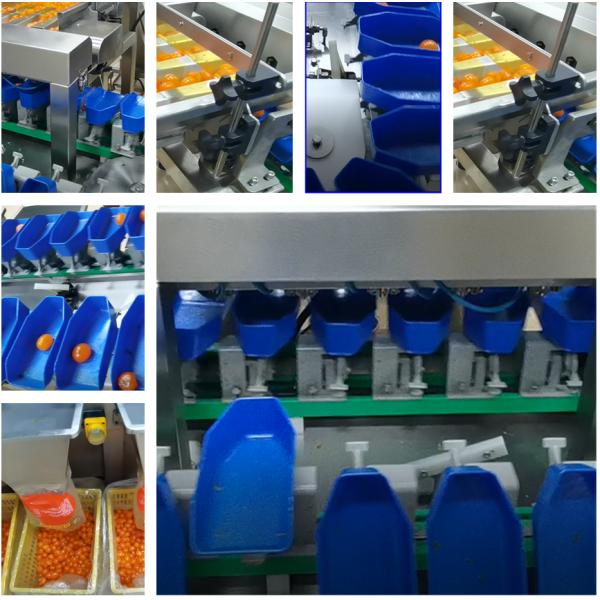 Clasificadora del peso de la yema de huevo de la alta precisión 1.5KW para la industria alimentaria