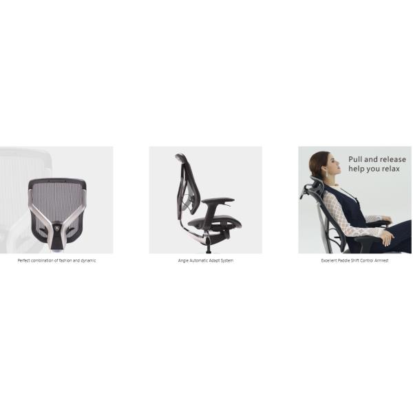 Nylon Base Ergonomic Office Chair 55mm PA Lumbar Support Adjustable Arms