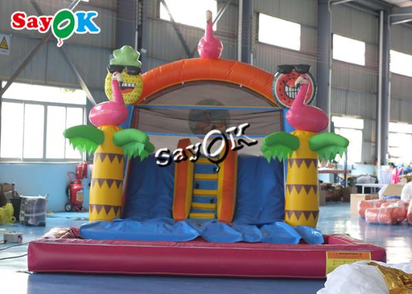 glissière gonflable de videur de bâche colorée de PVC avec l'ensemble de pools