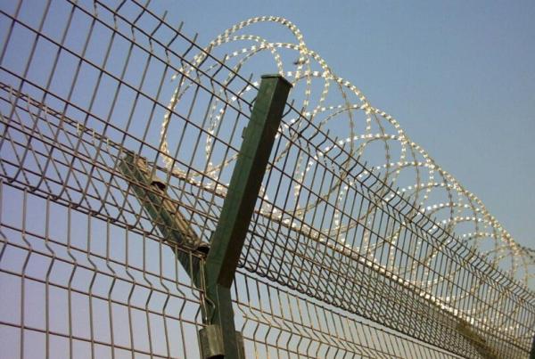Plastic welded wire mesh panel garden fence,garden fence BV,  SGS, Australia Standard
