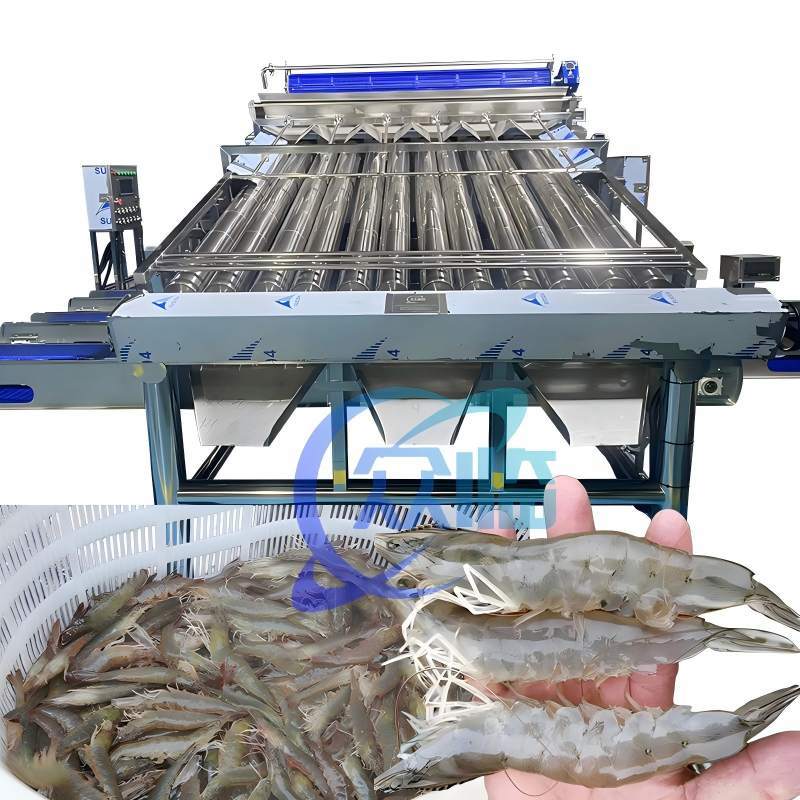 Fully Automatic Shrimp Roller Grader 380V 50Hz Prawn Grader