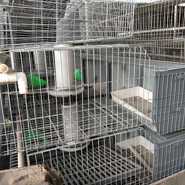 24 Cells Battery Operating Farm Rabbit Cage Two Tiers Easy Cleaning Durable