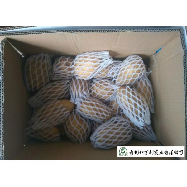 Delicious Fresh Potato Can Used As A Vegetable Or As A Staple Food