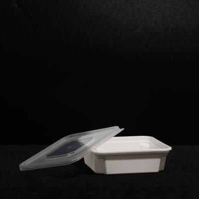 Caixa de fast food livre de BPA personalizada com impressão de material PP