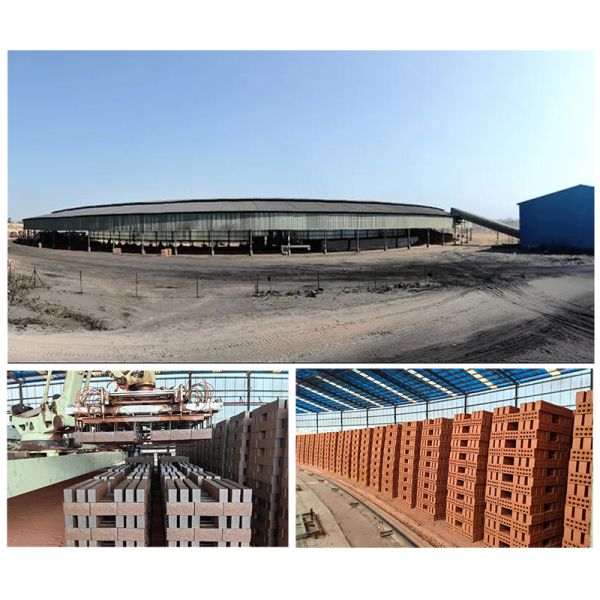 Company Introduction