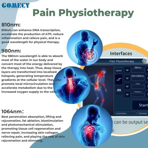 Pain Relief Laser Therapy Physiotherapy Device Diode Laser 980Nm 810nm 650nm 1064nm Class 4 Laser