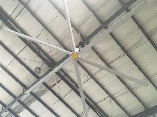 175 MPa	 Super Large Factory huge Gearbox Ceiling Fan