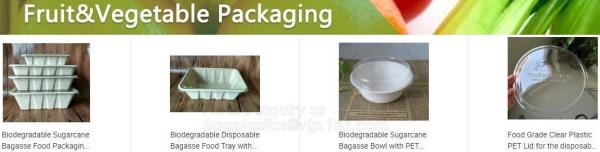 Eco Biodegradable Disposable Sugarcane Bagasse Food Container,Customize biodegradable corn starch plastic food storage c