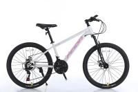 26 27.5 29 pouces BMX 21 vitesse alliage d'aluminium MTB femme Bicicleta Vélo de montagne pour hommes