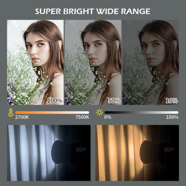 220 В фильмовое освещение Оборудование Cob Видео Свет 300 Вт светодиодное фото освещение с 280 см стоянкой для штатива