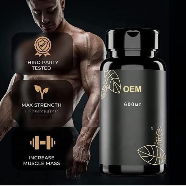 OEM man power herbal long time health supplement Tongkat Ali Capsules for men