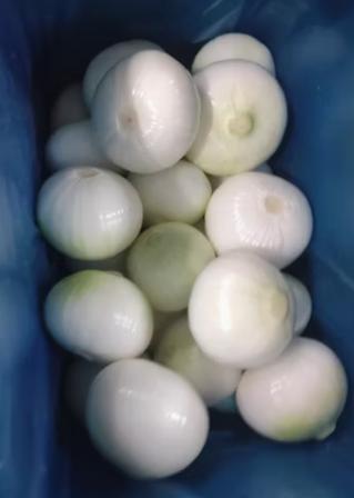 新鮮な洋食 業務用 丸ごと 網状の袋に詰め込み 箱 PVC ボックスまたは真空パック