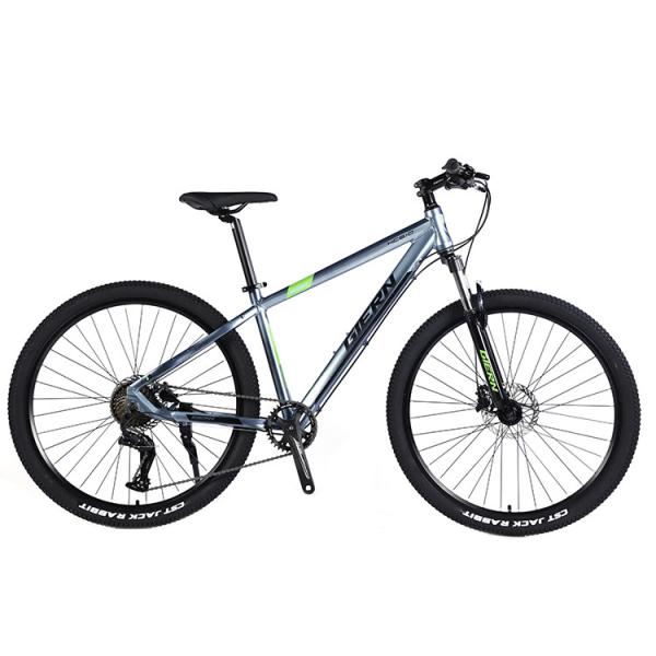 Bicicleta de montanha de 29 polegadas para adultos em estrada