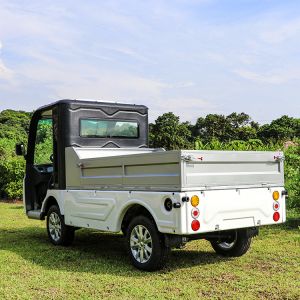 EXCAR Trojan Battery 72V Electric Utility Vehicle Cart 60-80KM Range