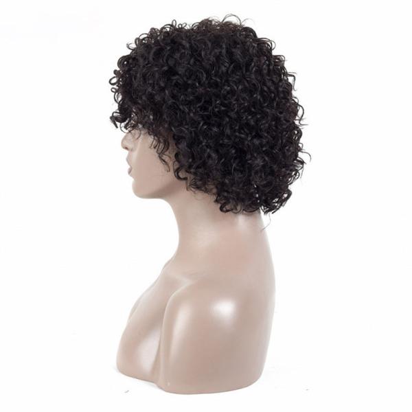 Suitable Dying Colors ALL COLORS Human Hair Short Hair Wigs for Women Ready to Ship