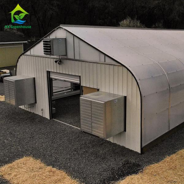 Blackout Mushroom Single-span Tunnel Light Deprivation Greenhouse For Agriculture