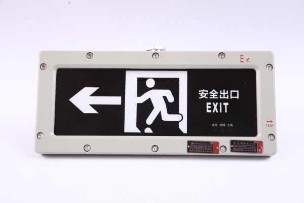 High Voltage Explosion-Proof Exit Light | OEM Emergency Signage Light 90-300VAC/24VDC/36VDC | ATEX IECEx Approved