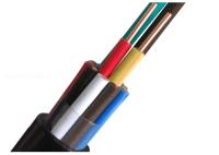 Le câblage cuivre multinucléaire d'isolation de câble de commande de XLPE/PVC a examiné 450V
