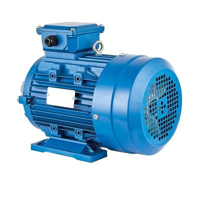 motor síncrono de ímã 3000rpm permanente