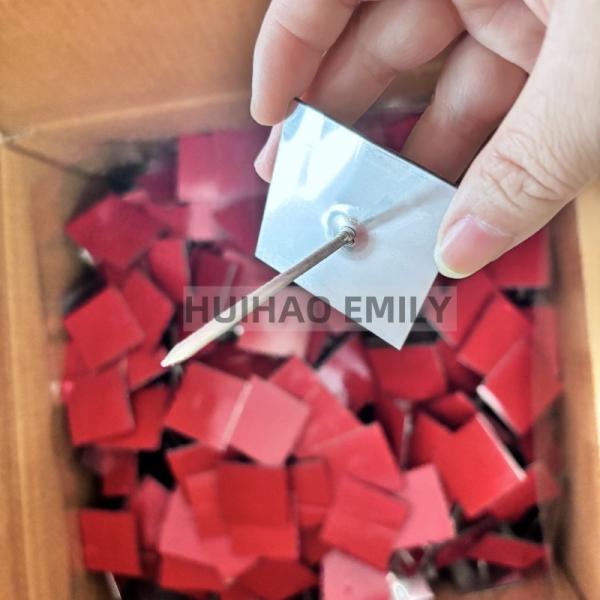 50x50mm Base Plate Self Sticking Insulation Hanger Pins For Exterior Wall Insulation